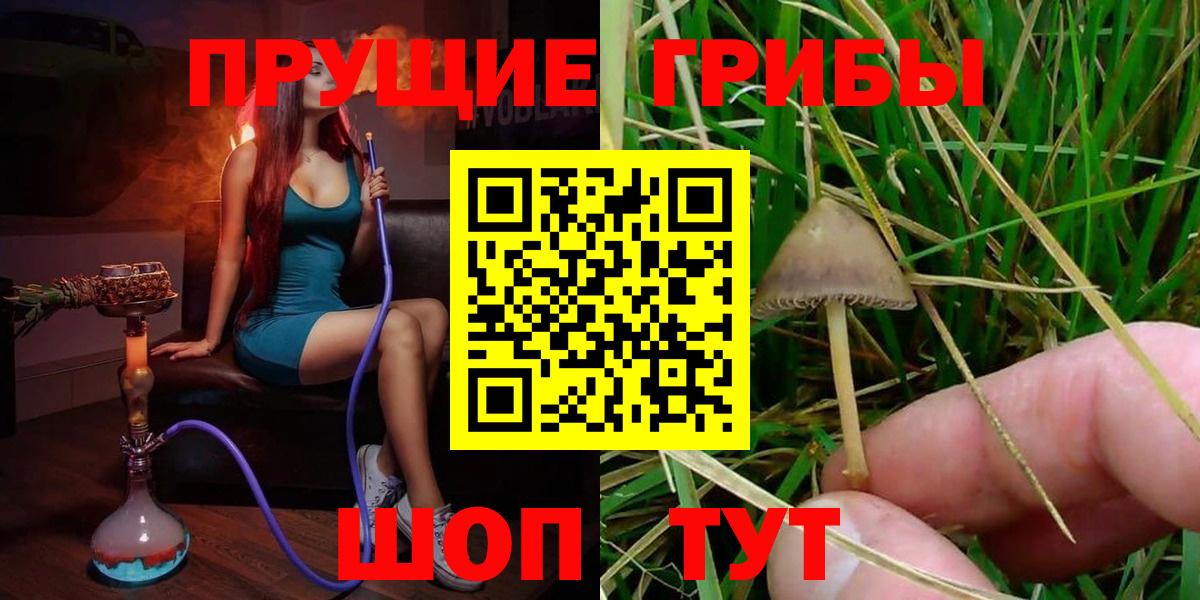 наркота  Галлюциногенные грибы прущие грибы  Псилоцибиновые грибы прущие грибы  Вход с VPN  Камень-на-Оби 